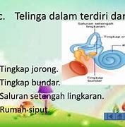 Tingkap Oval/Jorong Adalah Bahasa